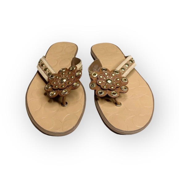 new Coach ❃ Kelby Flower Hardware Sandals ❃ Latte Leather Gold Hardware 8.5M - Picture 7 of 16